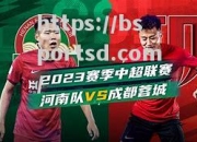 bsports体育-河南队在客场比赛中全队齐心协力，最终逆袭击败了山西队