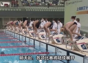 bsports体育-运动员风采憨然，在比赛中展现出才华